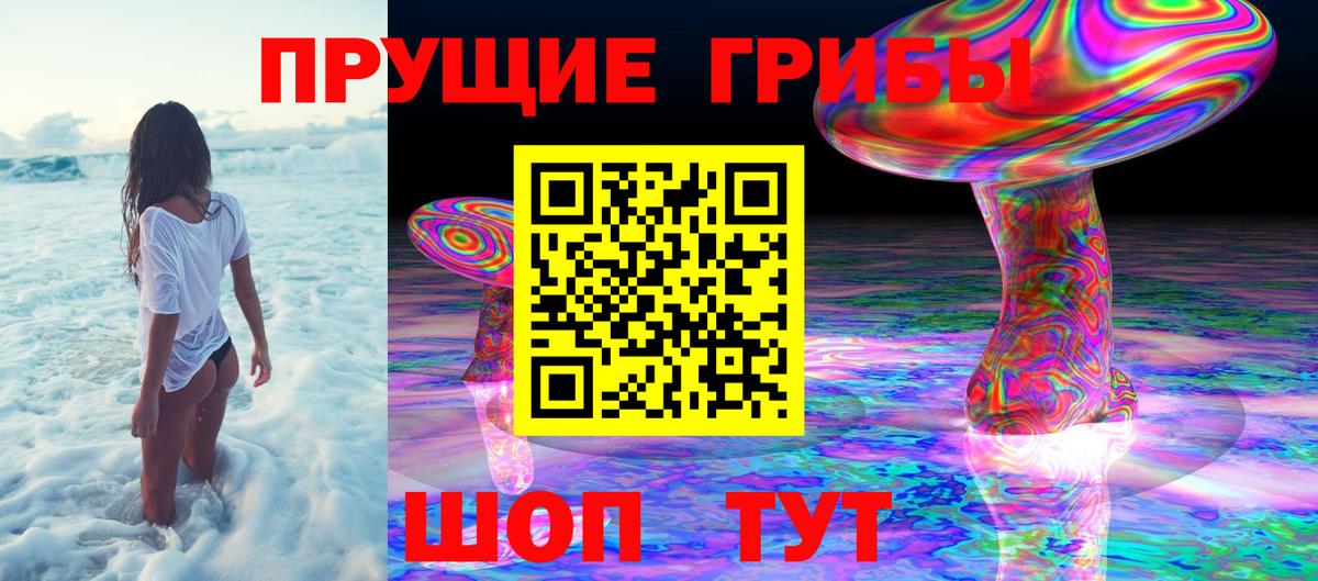Моздок  Псилоцибиновые грибы MAGIC MUSHROOMS  Вход с VPN 